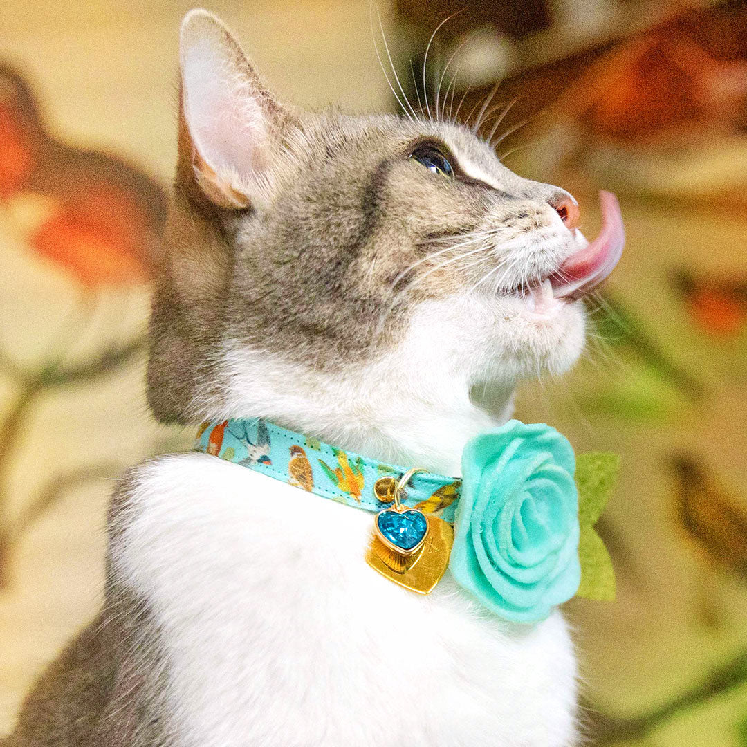 Pet Collar Charms - "Jeweled & Classic" - For Cat Collars & Small Dog Collars