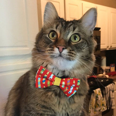 Birthday Cat Bow Tie - "Birthday Candles" - Red Party Bowtie / For Cats + Small Dogs / Removable (One Size)