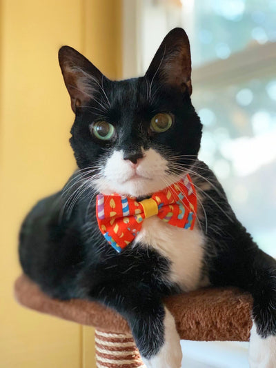 Cat Collar - "Birthday Candles" - Red Cat Collar - Breakaway Buckle or Non-Breakaway / Cat, Kitten + Small Dog Sizes