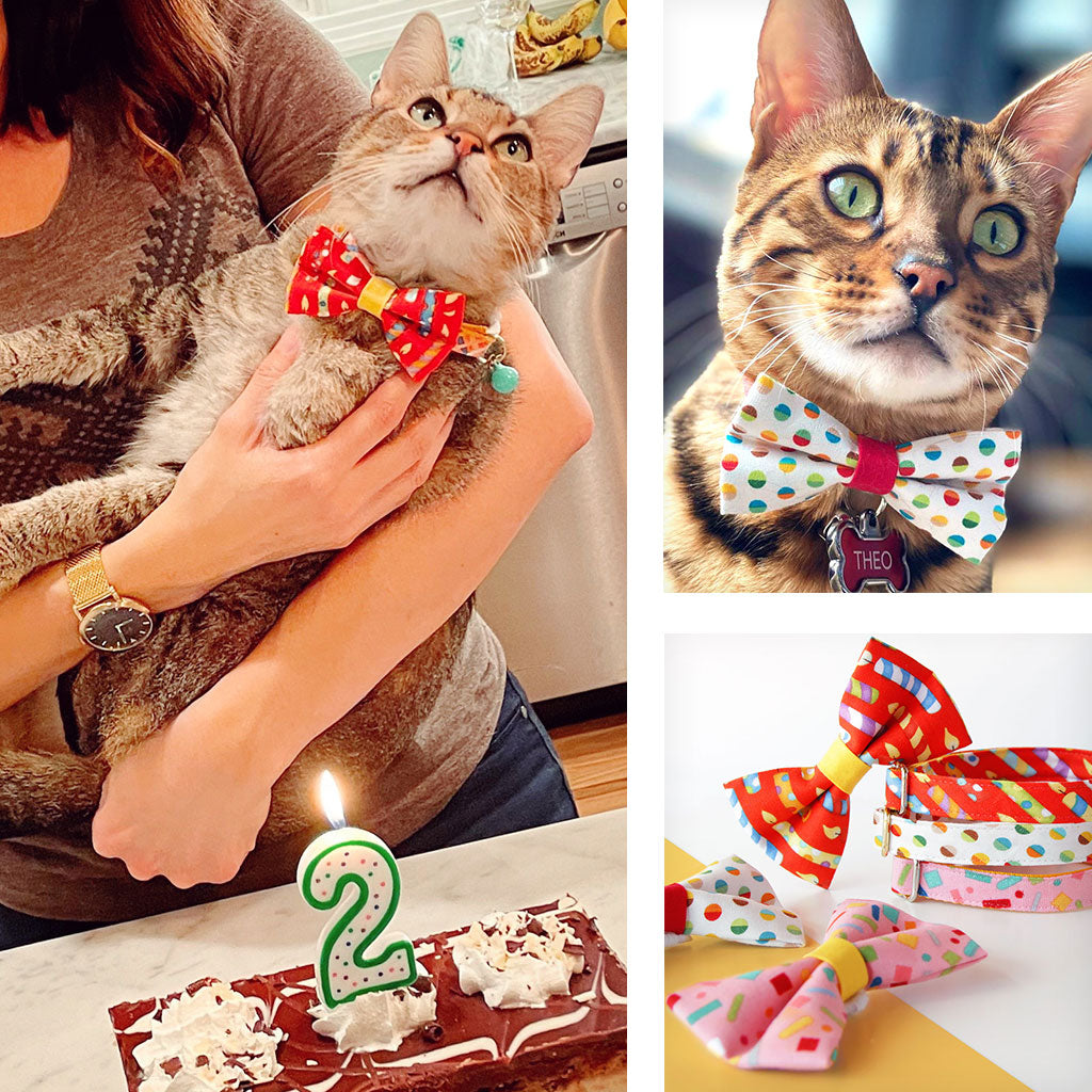 Cat Collar - "Birthday Candles" - Red Cat Collar - Breakaway Buckle or Non-Breakaway / Cat, Kitten + Small Dog Sizes