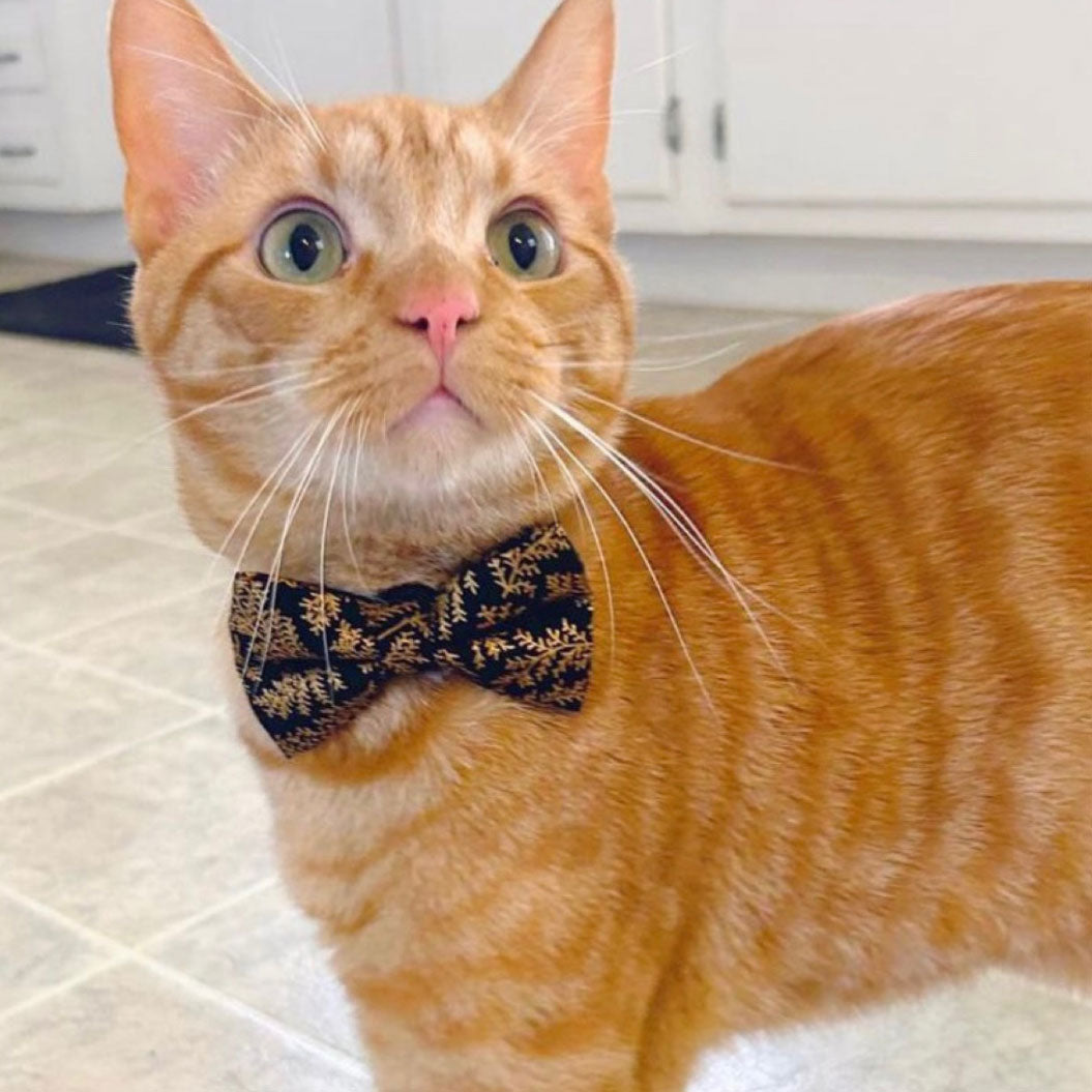 Pet Bow Tie - "Black Forest" - Gold Leaves on Black Cat Bow Tie / Christmas, Holiday, Wedding, New Year's / For Cats + Small Dogs (One Size)