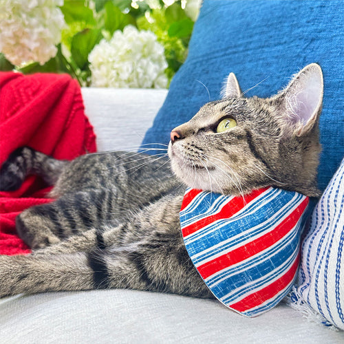 4th of July Cat Bandana - "Boardwalk" - Red White Blue Vintage Striped Bandana for Cat + Small Dog / Patriotic, USA, Independence Day, Summer / Slide-on Bandana / Over-the-Collar