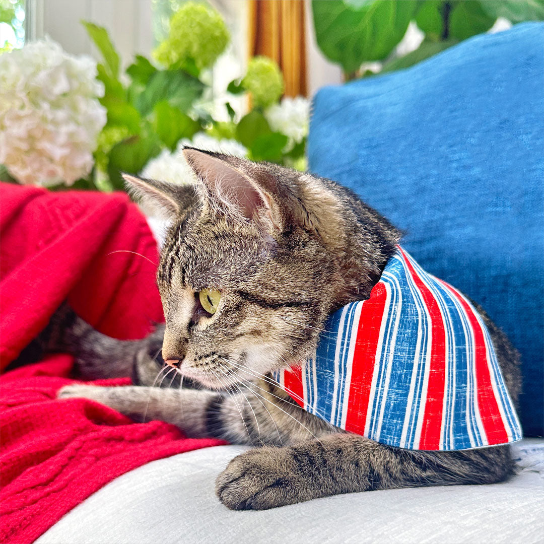 4th of July Cat Bandana - "Boardwalk" - Red White Blue Vintage Striped Bandana for Cat + Small Dog / Patriotic, USA, Independence Day, Summer / Slide-on Bandana / Over-the-Collar
