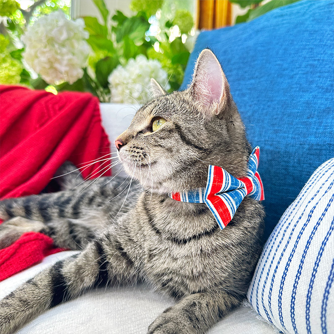 4th of July Cat Bow Tie - "Boardwalk" - Red White Blue Vintage Stripe Bow Tie for Cat Collar / USA, Patriotic, Summer / Cat, Kitten + Small Dog Bowtie