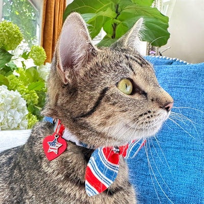 Cat Collar & Bunny Ear Bow Set - "Boardwalk" - Red White Blue Vintage Stripe Cat Collar w/ Matching Bunny Bow Tie / USA, 4th of July, Summer, Patriotic / Tie-On Scarf / Cat, Kitten + Small Dog Sizes