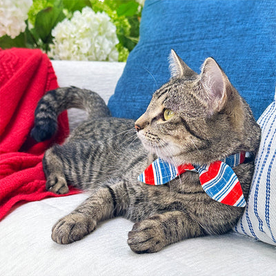 Cat Collar & Bunny Ear Bow Set - "Boardwalk" - Red White Blue Vintage Stripe Cat Collar w/ Matching Bunny Bow Tie / USA, 4th of July, Summer, Patriotic / Tie-On Scarf / Cat, Kitten + Small Dog Sizes
