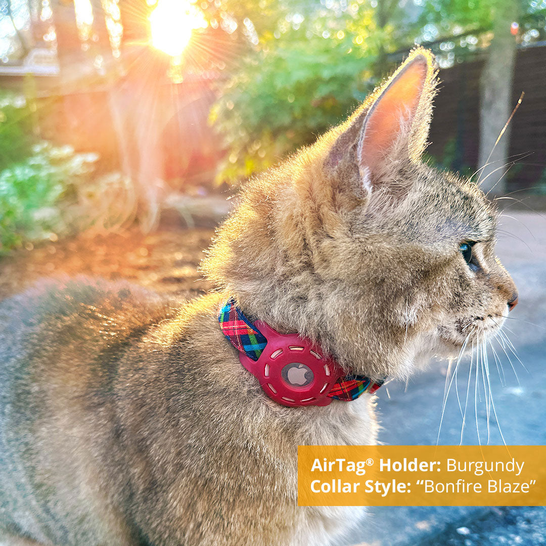 AirTag® Holder for Small Pet Collars (15 Colors) - Sized for Cats + Small Dogs