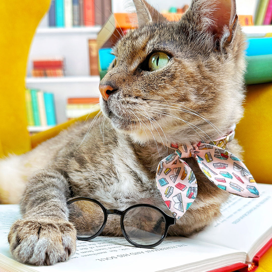 Cat Collar & Bunny Ear Bow Set - "Book Lover - Pink" - Book Cat Collar w/ Matching Bunny Bow Tie / Tie-On Scarf / Librarian, School Teacher, Reader, Book Club, Bookish / Cat, Kitten + Small Dog Sizes