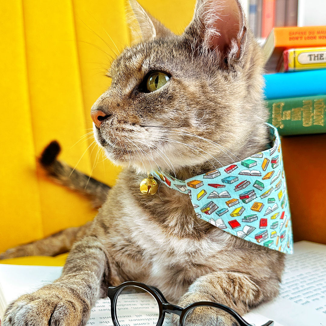 Cat Bandana - "Book Lover - Blue" - Stack of Books Bandana for Cat + Small Dog / Reader Gift, Bookstore, Book Club, Literary, Bookish / Slide-On Over the Collar Bandana
