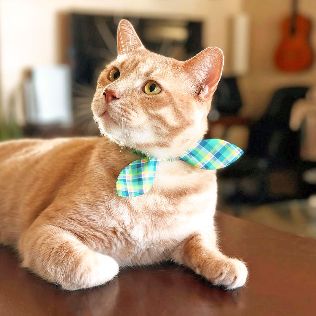 Plaid Cat Collar - "Breeze" - Preppy Aqua Cat Collar / Ocean, Beach, Coastal, Mint / Breakaway Buckle or Non-Breakaway / Cat, Kitten + Small Dog Sizes