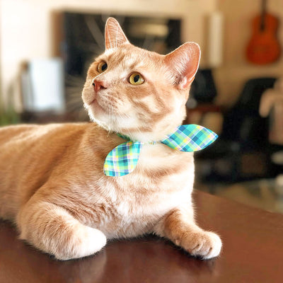 Plaid Cat Collar - "Breeze" - Preppy Aqua Cat Collar / Ocean, Beach, Coastal, Mint / Breakaway Buckle or Non-Breakaway / Cat, Kitten + Small Dog Sizes