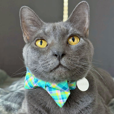 Plaid Bow Tie Cat Collar Set - "Breeze" - Preppy Aqua Cat Collar with Bow Tie / Spring, Summer, Coastal, Mint / Cat, Kitten, Small Dog Sizes