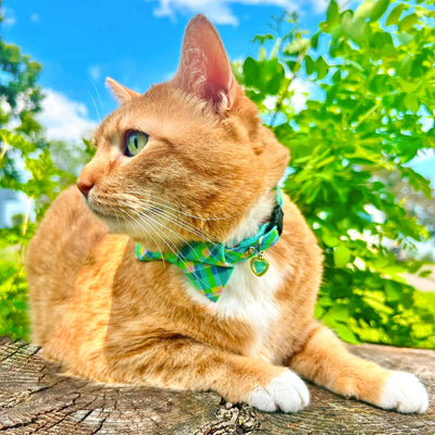Plaid Bow Tie Cat Collar Set - "Breeze" - Preppy Aqua Cat Collar with Bow Tie / Spring, Summer, Coastal, Mint / Cat, Kitten, Small Dog Sizes