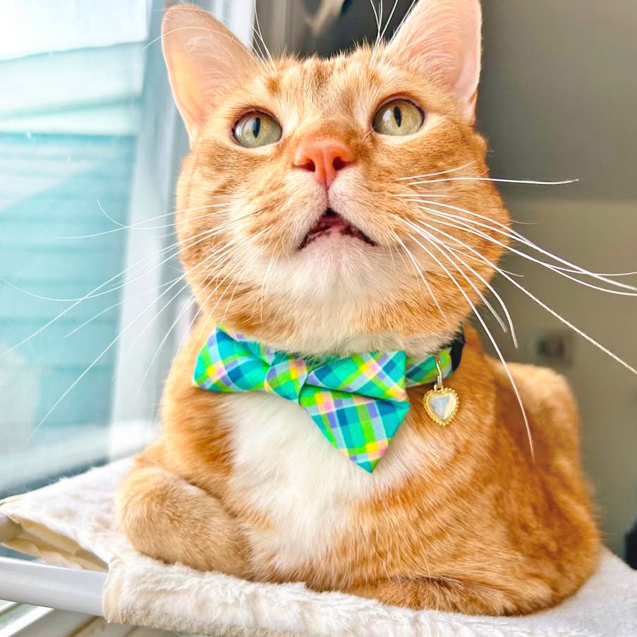 Plaid Bow Tie Cat Collar Set - "Breeze" - Preppy Aqua Cat Collar with Bow Tie / Spring, Summer, Coastal, Mint / Cat, Kitten, Small Dog Sizes