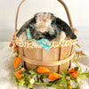 Easter Cat Collar - "Bunnies & Carrots Blue" - Bunny Cat Collar / Breakaway Buckle or Non-Breakaway / Cat, Kitten + Small Dog Sizes