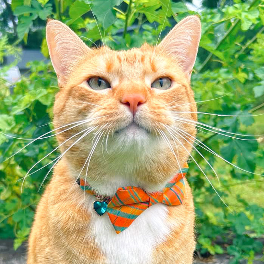 Bow Tie Cat Collar Set - "Canyon Sunset" - Orange Plaid Cat Collar with Bow Tie / Cat, Kitten, Small Dog Sizes