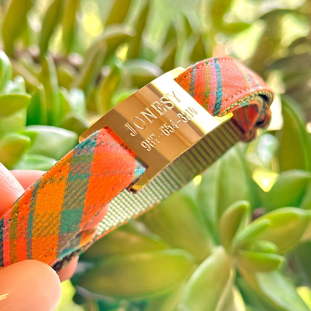 Engraved Pet ID Tag - (12 Styles incl. Slide On / Slider Pet Tag) - Personalized ID Tags for Cats, Kittens & Small Dogs