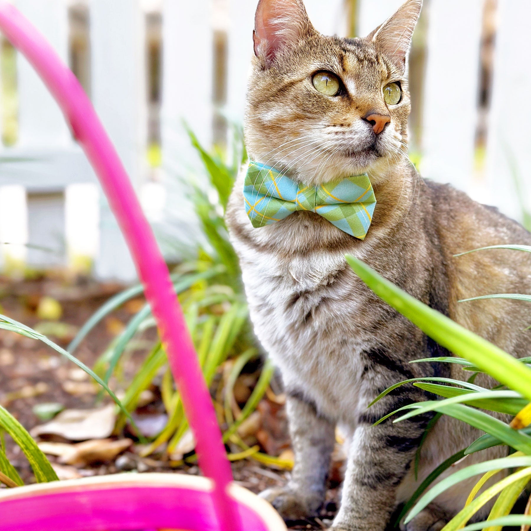 Cat Collar - "Carmel" - Mint Green Plaid Cat Collar / Spring, Easter, Summer / Breakaway Buckle or Non-Breakaway / Cat, Kitten + Small Dog Sizes