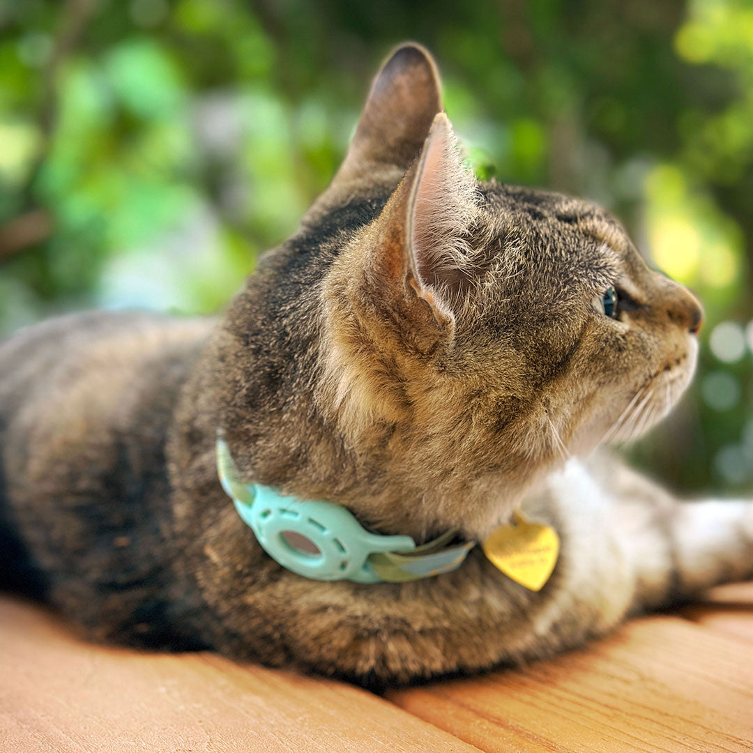 Cat Collar - "Carmel" - Mint Green Plaid Cat Collar / Spring, Easter, Summer / Breakaway Buckle or Non-Breakaway / Cat, Kitten + Small Dog Sizes
