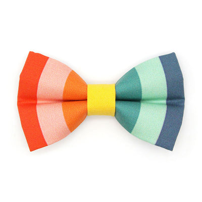 Pet Bow Tie - "Carousel" - Rainbow Striped Cat Bow Tie / Summer, LGBTQ+ Pride, Birthday / For Cats + Small Dogs (One Size)