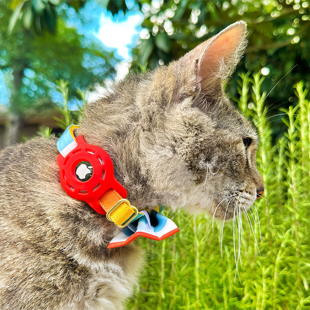 Cat Collar - "Carousel" - Striped Rainbow Cat Collar / Birthday, LGBTQ, Summer / Breakaway Buckle or Non-Breakaway / Cat, Kitten + Small Dog Sizes
