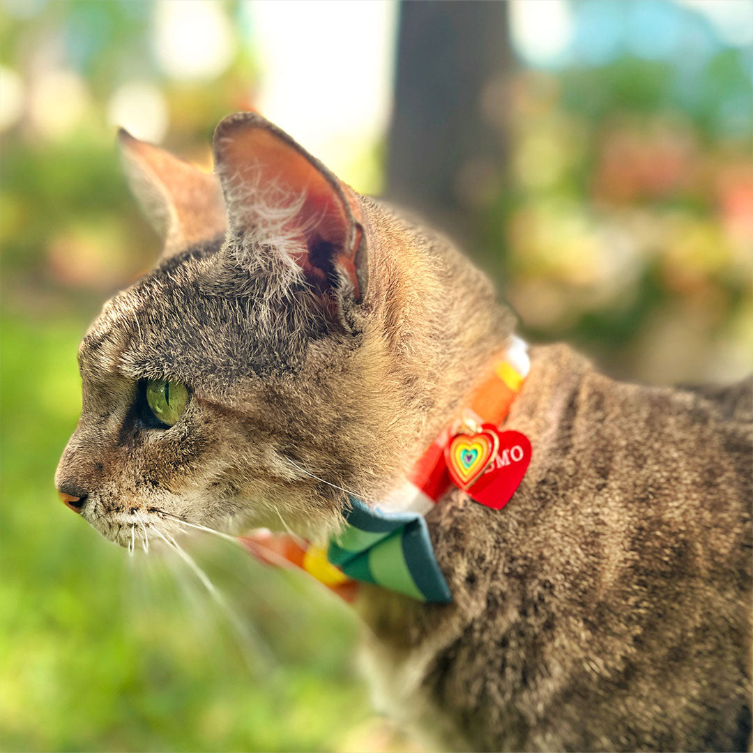 Cat Collar - "Carousel" - Striped Rainbow Cat Collar / Birthday, LGBTQ, Summer / Breakaway Buckle or Non-Breakaway / Cat, Kitten + Small Dog Sizes