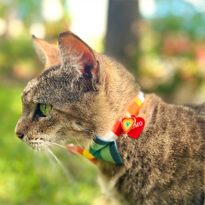 Cat Collar - "Carousel" - Striped Rainbow Cat Collar / Birthday, LGBTQ, Summer / Breakaway Buckle or Non-Breakaway / Cat, Kitten + Small Dog Sizes