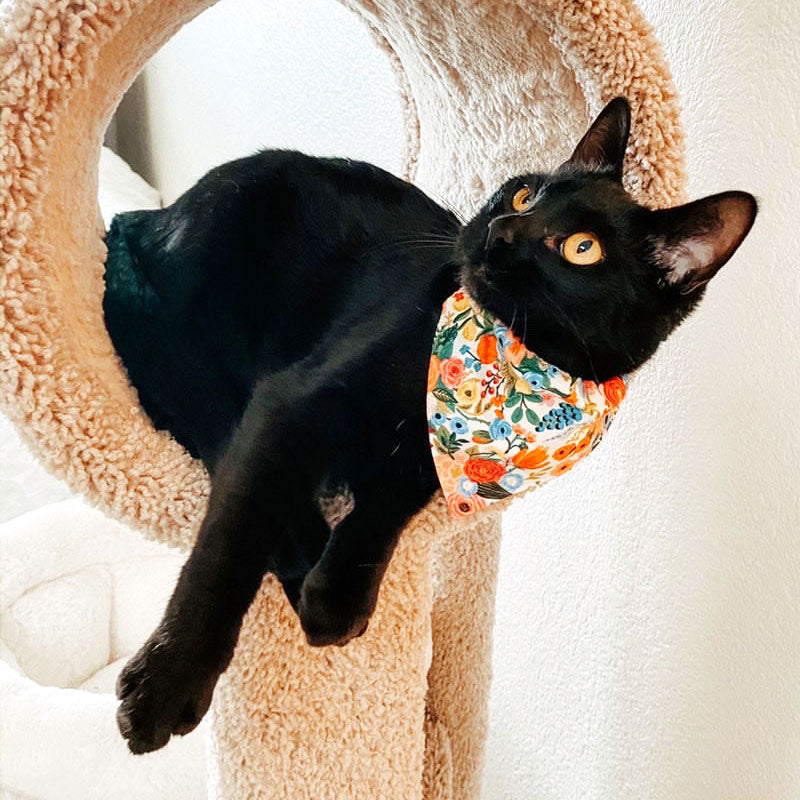 Pet Bandana - "Garden Party" - Rifle Paper Co® Floral Bandana for Cat + Small Dog / Slide-on Bandana / Over-the-Collar (One Size)