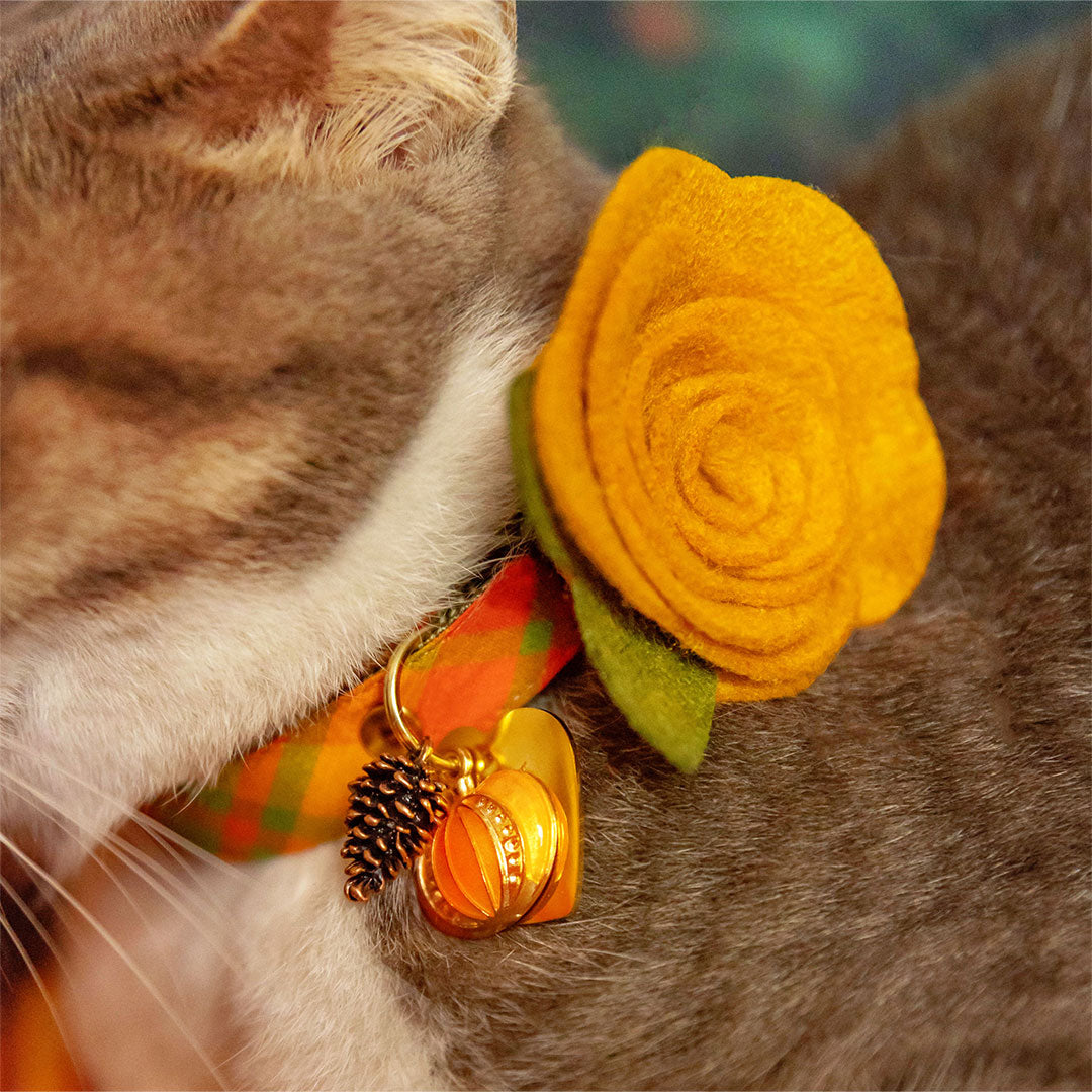 Pet Flower Corsages (15 Felt Colors) - Sold Individually - For Cat Collar + Small Dog Collar / Wedding Pet / Standard or Mini Size Option