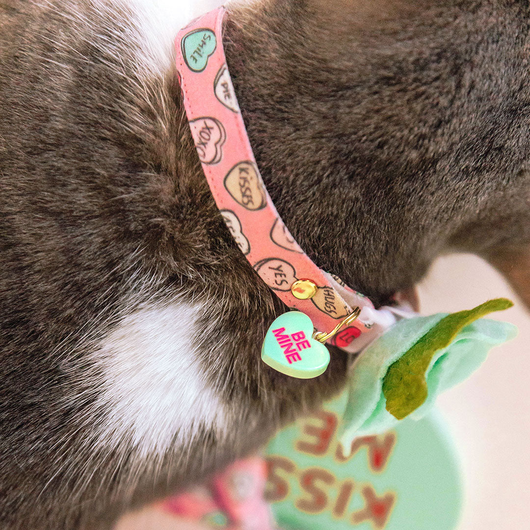 Pet Collar Charms - "Holiday & Seasonal" - For Cat Collars & Small Dog Collars