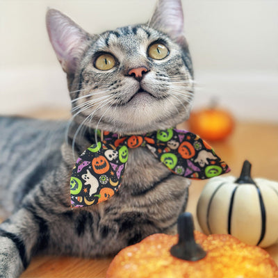 Halloween Cat Bow Tie - "Creepy Cuties" - Fun Spooky Bow Tie for Cat Collar / Ghost, Pumpkin, Skull, Witch / Cat, Kitten + Small Dog Bowtie