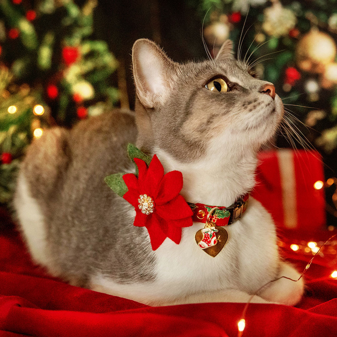 Specialty Pet Flower Corsages - Sold Individually / Poinsettia Collar Flower for Cats + Small Dogs / Colors for Halloween, Thanksgiving & Christmas