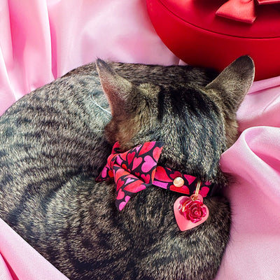 Pet Collar Charms - "Botanical & Outdoors" - For Cat Collars & Small Dog Collars
