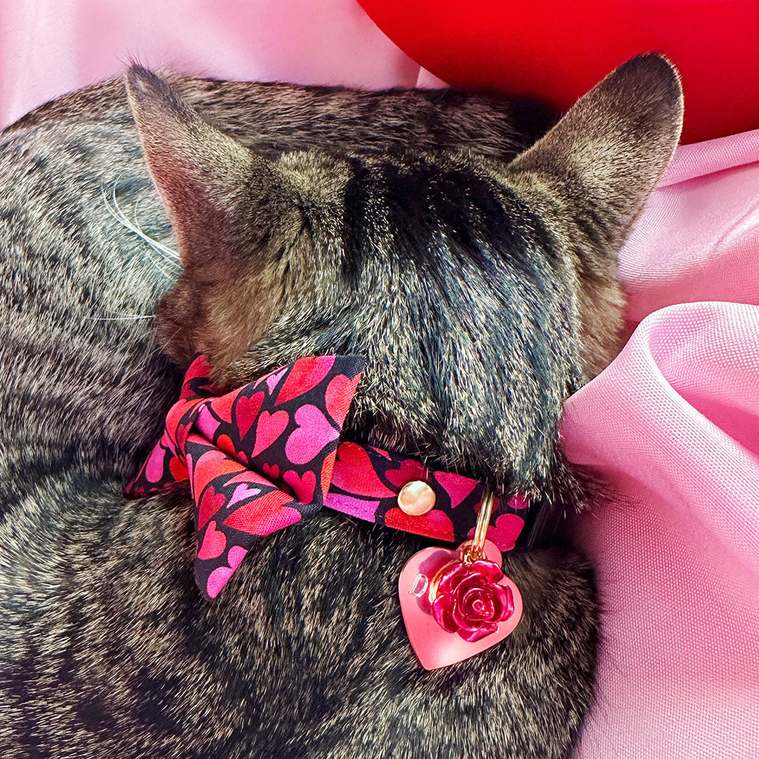 Engraved Pet ID Tag - (12 Styles incl. Slide On / Slider Pet Tag) - Personalized ID Tags for Cats, Kittens & Small Dogs