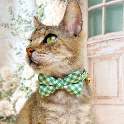 Bow Tie Cat Collar Set - "Derby" - Gingham Plaid Green Cat Collar w/ Matching Bowtie / Spring, St. Patrick's Day, Wedding / Cat, Kitten, Small Dog Sizes