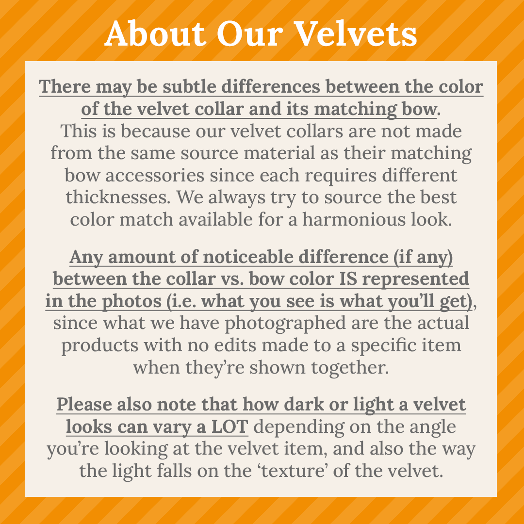 Bow Tie Cat Collar Set - "Velvet - Marigold" - Rich Yellow Velvet Bow Tie + Coordinating Velvet Cat Collar / Cat, Kitten, Small Dog Sizes