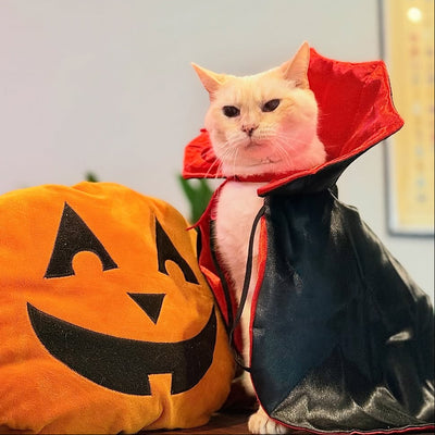 Pet Dracula Costume for Cat + Small Dog / Halloween Photo Prop for Pet / Cat Halloween Costume / Red & Black Satin Pet Vampire Cloak Costume