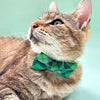 Pet Bow Tie - "Dublin" - Green Plaid Bow Tie / St. Patrick's Day / Irish / For Cats + Small Dogs (One Size)
