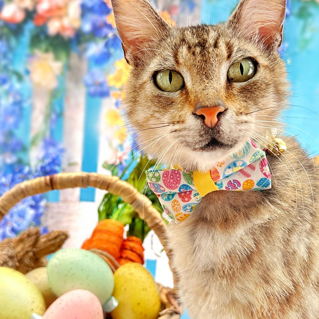 Bow Tie Cat Collar Set - "Egg Hunt" - Colorful Easter Egg Cat Collar with Bow Tie / Cat, Kitten, Small Dog Sizes