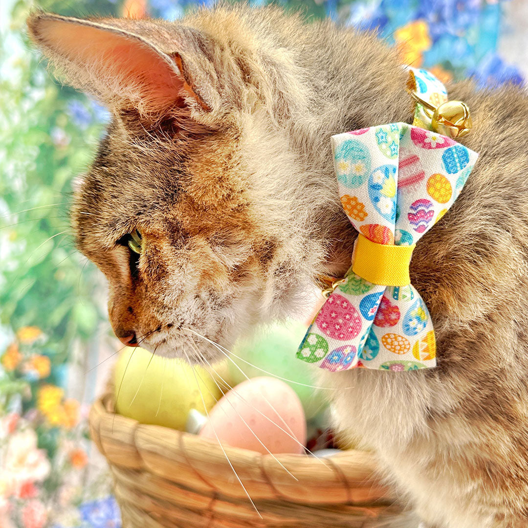 Cat Collar - "Egg Hunt" - Easter Egg Cat Collar / Breakaway Buckle or Non-Breakaway / Cat, Kitten + Small Dog Sizes