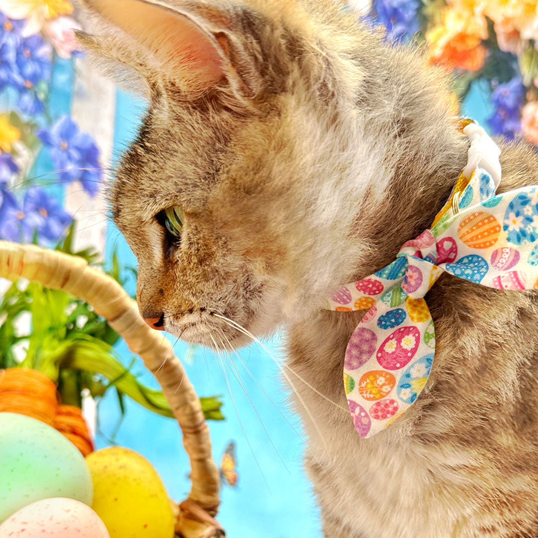 Cat Collar & Bunny Ear Bow Set - "Egg Hunt" -  Easter Egg Cat Collar w/ Matching Bunny Bow Tie / Tie-On Scarf / Cat, Kitten + Small Dog Sizes