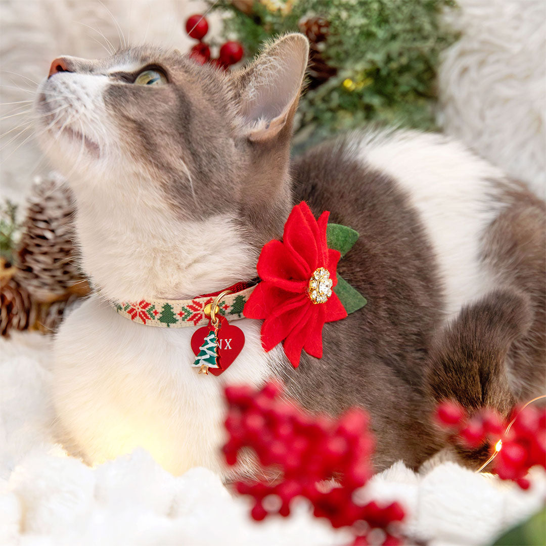 Cat Collar + Flower Set - "Fair Isle - Christmas" - Holiday Sweater Cat Collar + Specialty Christmas Red Poinsettia Felt Flower (Detachable)