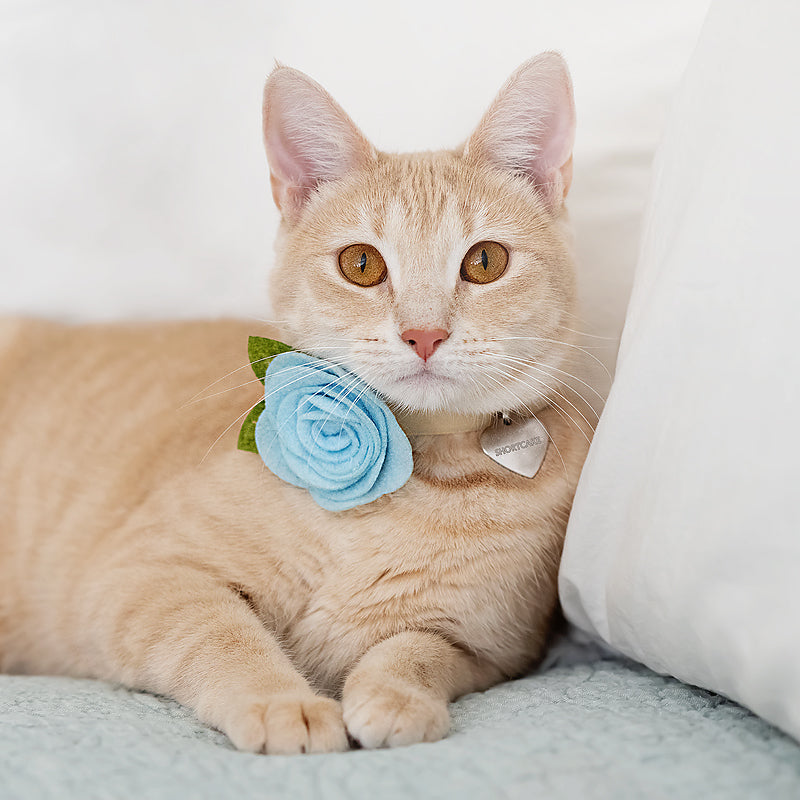Pet Flower Corsages (15 Felt Colors) - Sold Individually - For Cat Collar + Small Dog Collar / Wedding Pet / Standard or Mini Size Option