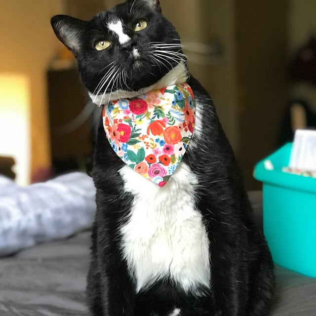Pet Bandana - "Garden Party" - Rifle Paper Co® Floral Bandana for Cat + Small Dog / Slide-on Bandana / Over-the-Collar (One Size)