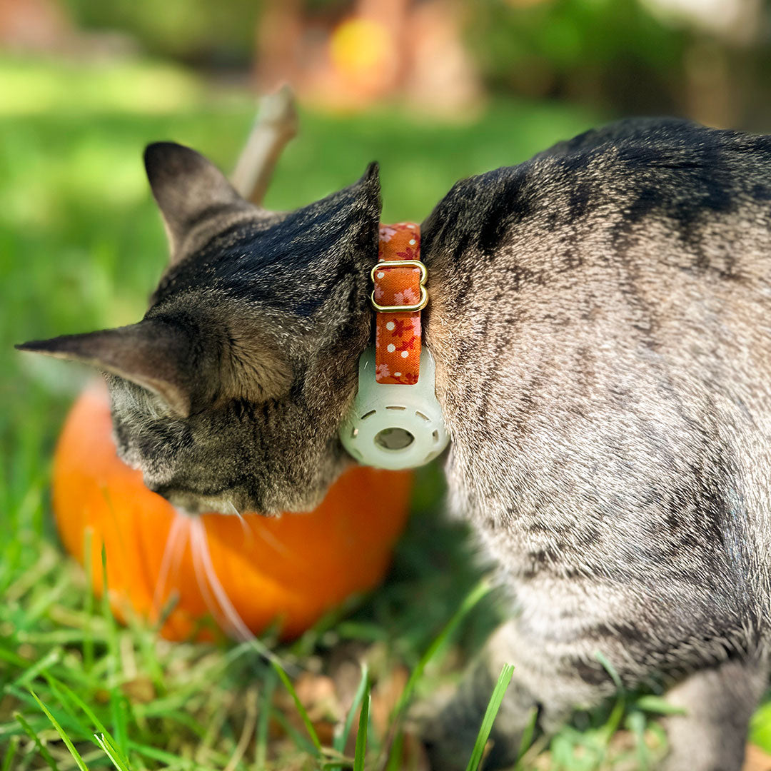 AirTag® Holders For Pet Collars