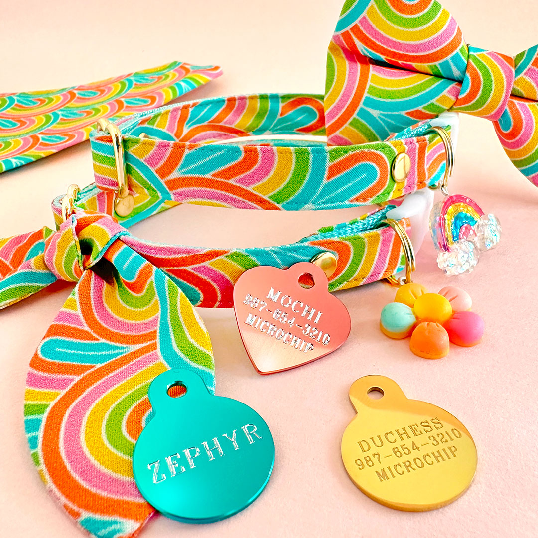 Cat Collar & Bunny Ear Bow Set - "Groovy Rainbow" - Retro 60s 70s Cat Collar w/ Matching Bunny Bow Tie / Tie-On Scarf / Cat, Kitten + Small Dog Sizes