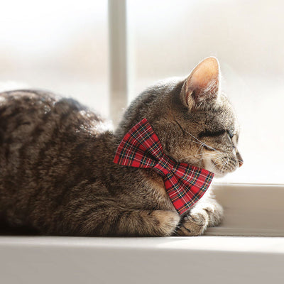 Bow Tie Cat Collar Set - "Hearthside" - Red Tartan Plaid Collar + Matching Detachable Bow Tie