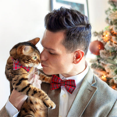 Men's Red Holiday Plaid Bow Tie - "Hearthside" - Christmas, Wedding & Special Occasions | Easy Clip-On Style (ADULT SIZE)