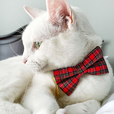 Pet Bow Tie (REGULAR SIZE) - "Hearthside" - Classic Red Holiday Tartan Plaid | Christmas, Holidays & Wedding Bow Tie | For Adult Cat + Small Dog