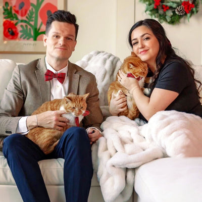 Red Holiday Tartan Cat Collar - "Hearthside" - Christmas Plaid Collar - Breakaway Buckle or Non-Breakaway - Sizes for Cats & Small Dogs